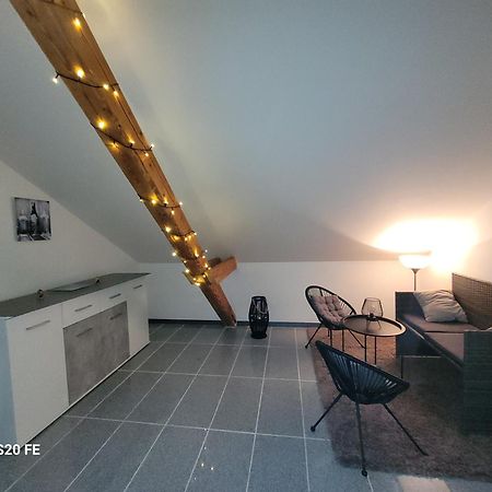 Penthouse N74 Linz 120 Qm Kids Welcome! Экстерьер фото