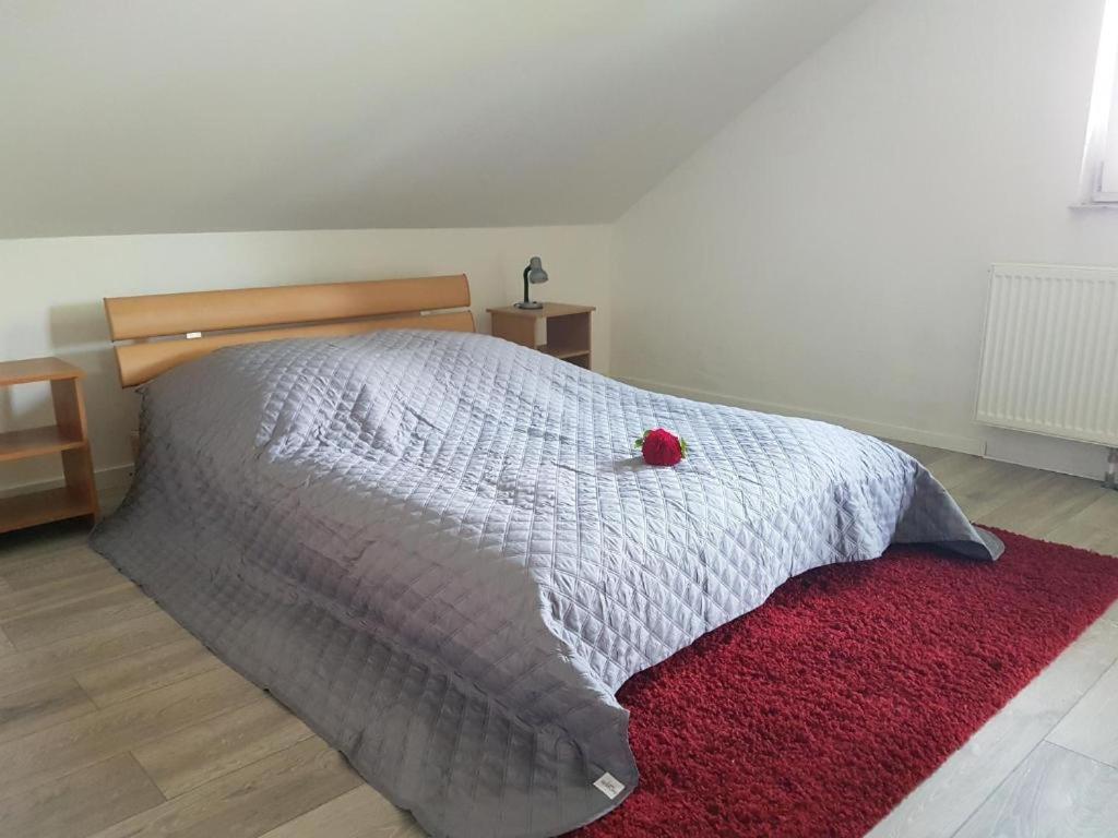Penthouse N74 Linz 120 Qm Kids Welcome! Экстерьер фото
