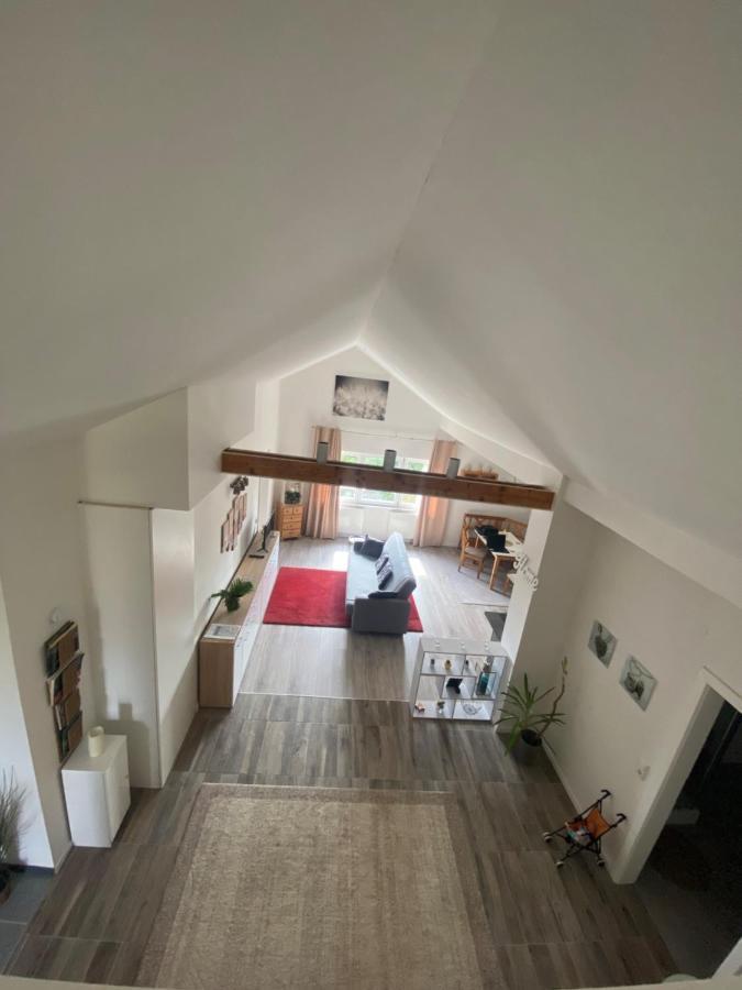 Penthouse N74 Linz 120 Qm Kids Welcome! Экстерьер фото